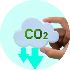 Compensamos el CO₂<br />de tu coche